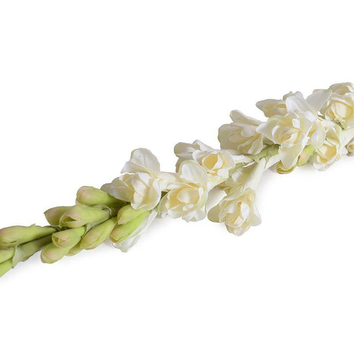 Tuberose flower stem - New Growth Designs