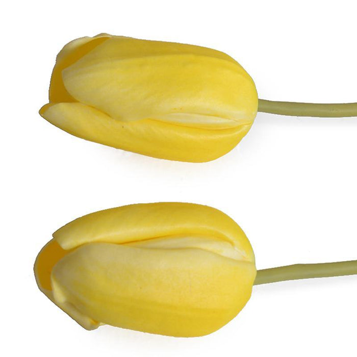 Tulip Stem, French - Yellow - New Growth Designs